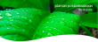 h01