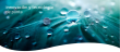 q03